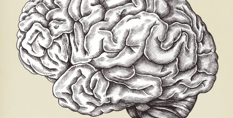 Illustration of brain - Post Traumatic Stress Disorder after a Car Accident